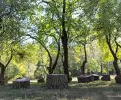Cyklarium Słoboda –  Stoje 