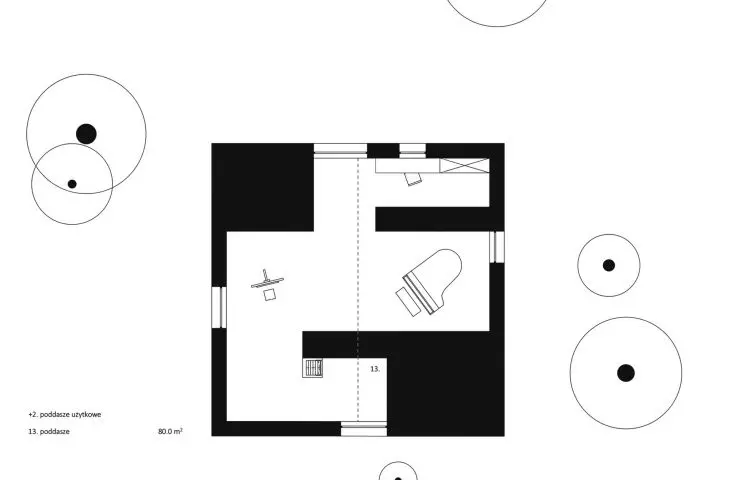 attic projection