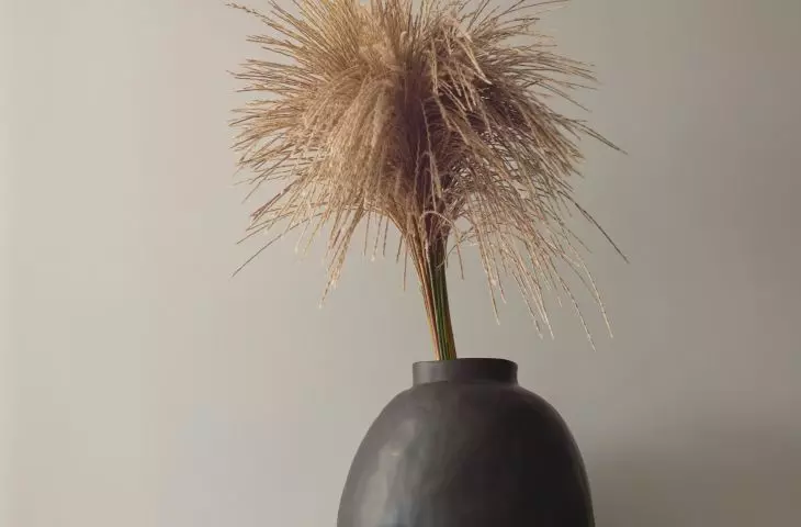 Natural decorations add coziness to the space