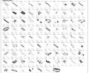 typologie zieleni