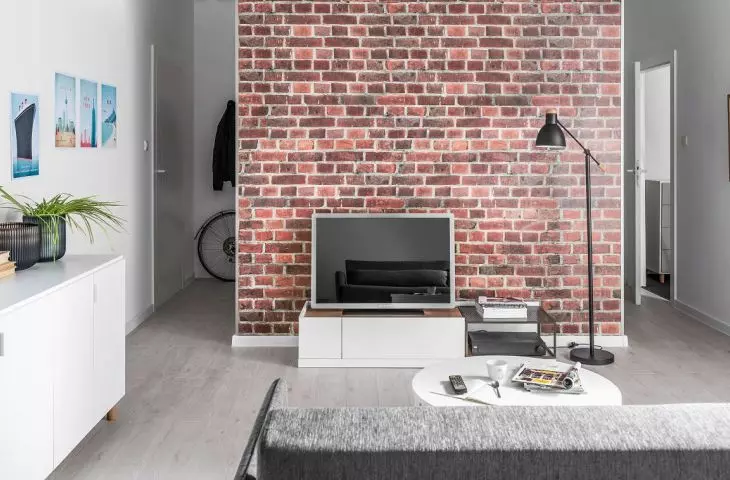 Brick in the apartment