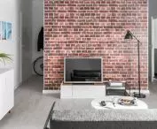 Brick in the apartment