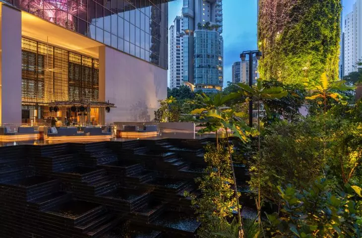 Hotel Pan Pacific Orchard w Singapurze — widok na taras leśny 