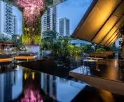 Hotel Pan Pacific Orchard w Singapurze — widok na taras leśny 