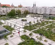 Zazieleniony Plac Nowy Targ w 2024 roku