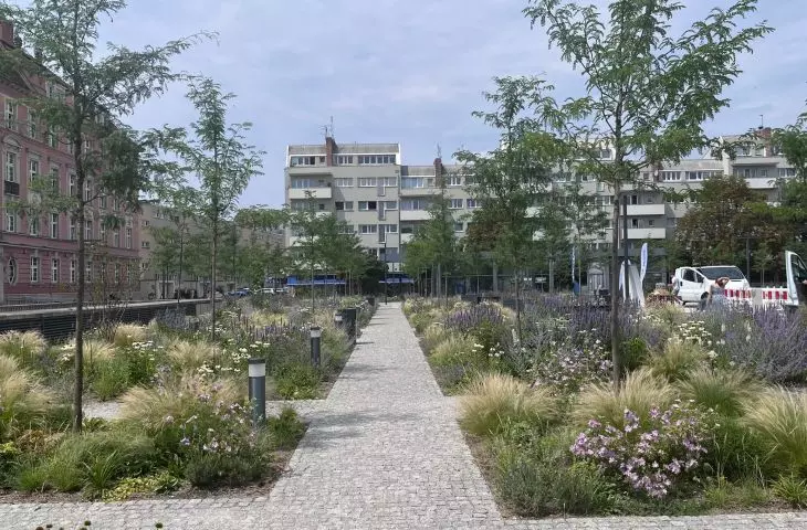 Greened New Market Square in 2024