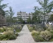 Zazieleniony Plac Nowy Targ w 2024 roku