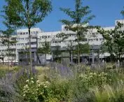 Greened New Market Square in Wroclaw
