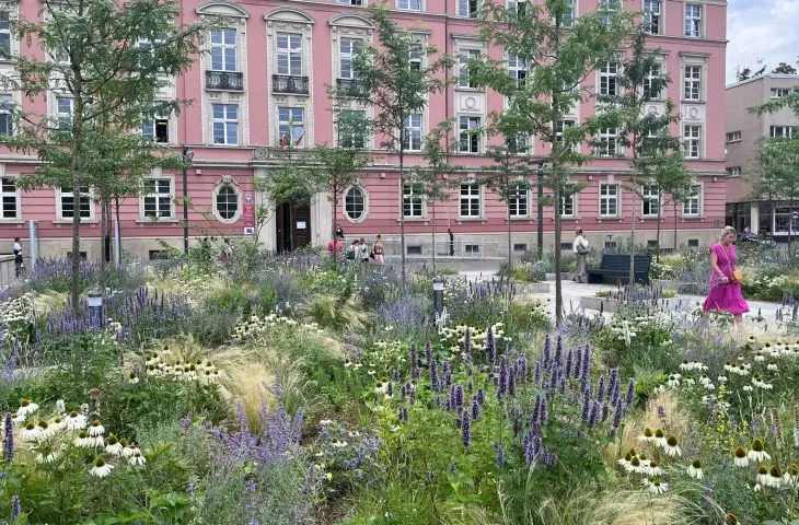 Zazieleniony Plac Nowy Targ we Wrocławiu