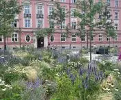 Greened New Market Square in Wroclaw