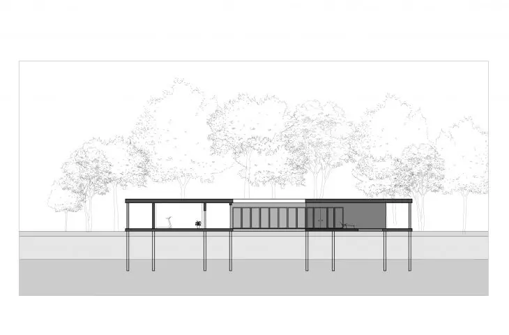 section