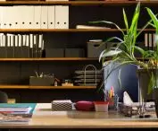 interior of the studio