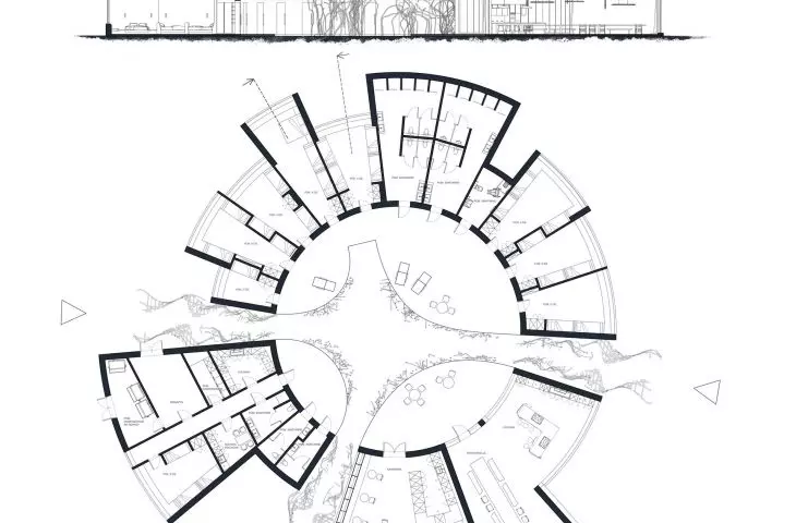 sections and projections