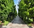 Marcinkowskiego Avenue in Poznań