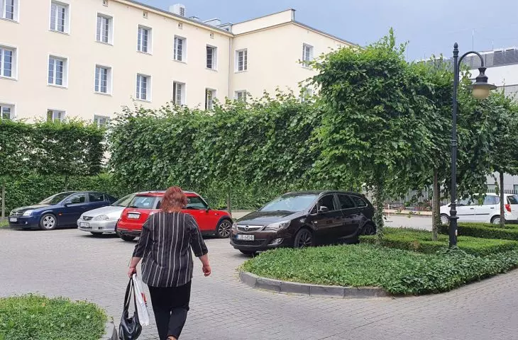 parking może wyglądać inaczej niż widzimy to na co dzień w projektach osiedli, proj.: Pracownia Krajobrazy Wojciech Januszczyk 