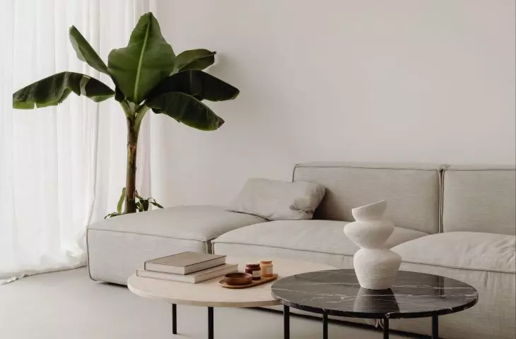 Arrangement in organic brutalism style should be simple and functional