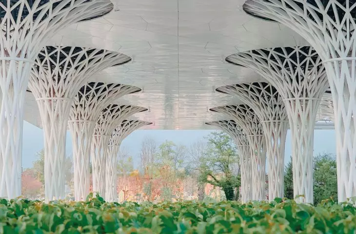 the most characteristic element of the station are openwork pillars; in the future they are to be overgrown with climbing plants
