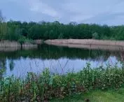 staw w Parku Reagana w Gdańsku