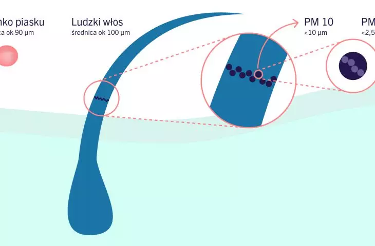 Illustration of the size of PM10 and PM 2.5 particulate matter