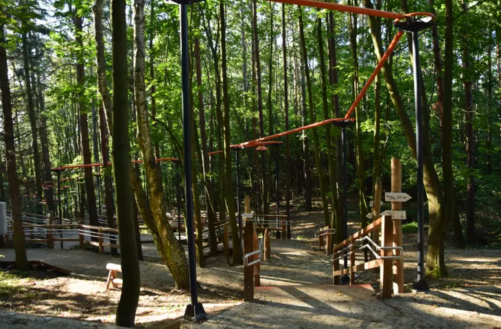 Forest Park in Oksywie