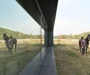 Modern barn