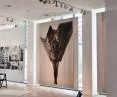 New exhibitions at the Museum of the City of Gdynia
