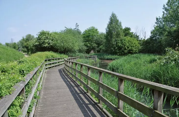 London Wetland Centre — rezerwat przyrody