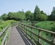 London Wetland Centre — rezerwat przyrody