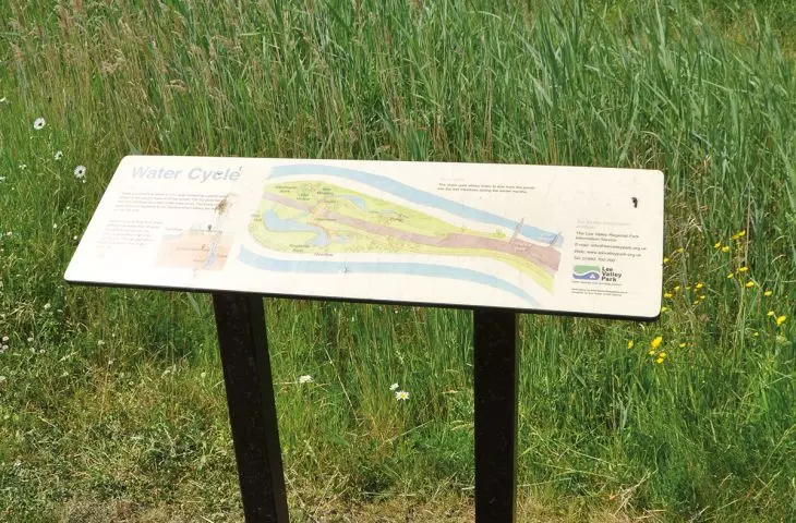 Bow Creek Park Ekologiczny w Londynie