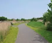 London Wetland Centre - nature reserve