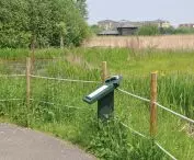 London Wetland Centre - nature reserve