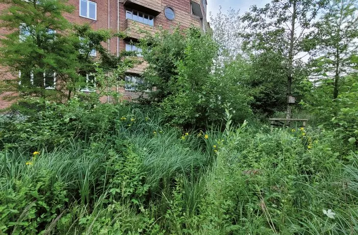 Bryggervangen, Kopenhaga