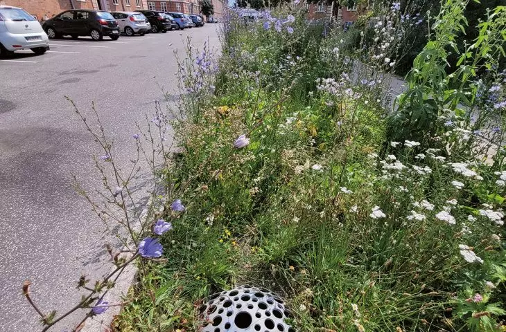 plac Tåsinge, Kopenhaga