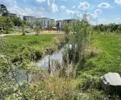 park Zahrādky w Pradze