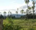 The landscape of the former Colônia Santo Ângelo