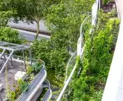 Apartamentowiec Arborescence w Angers, we Francji — widok na przestrzeń do uprawy roślin  