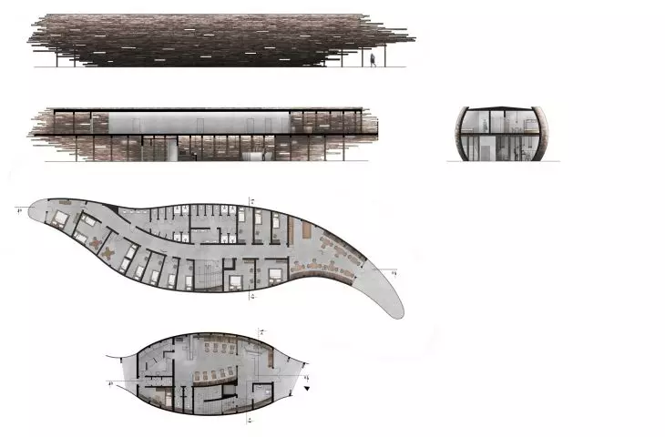 projections