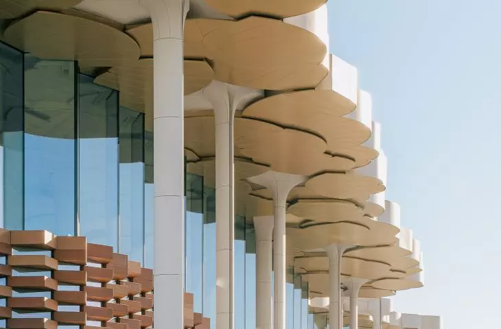 Biblioteka w Tongzhou, w Pekinie — widok na kolumny, które nawiązują do form drzew  