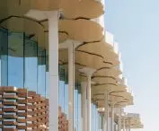 Biblioteka w Tongzhou, w Pekinie — widok na kolumny, które nawiązują do form drzew  