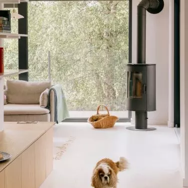 The minimalist arrangement is complemented by rustic elements