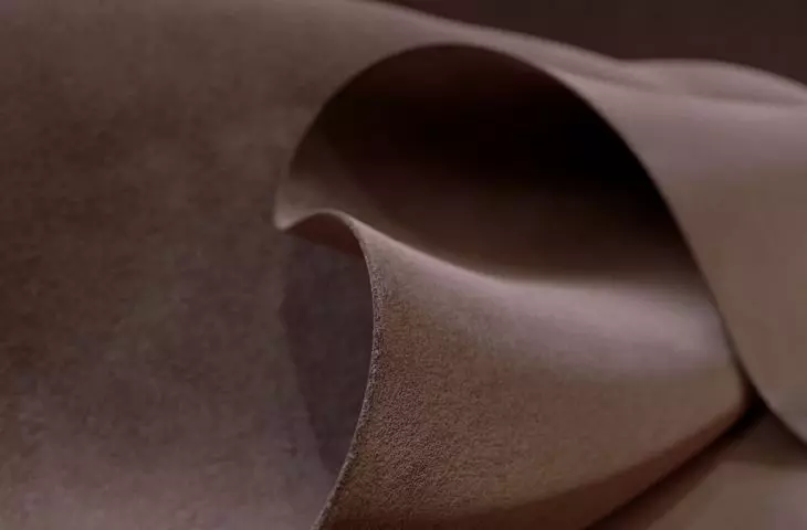 The color of the year 2025 is a warm shade of brown