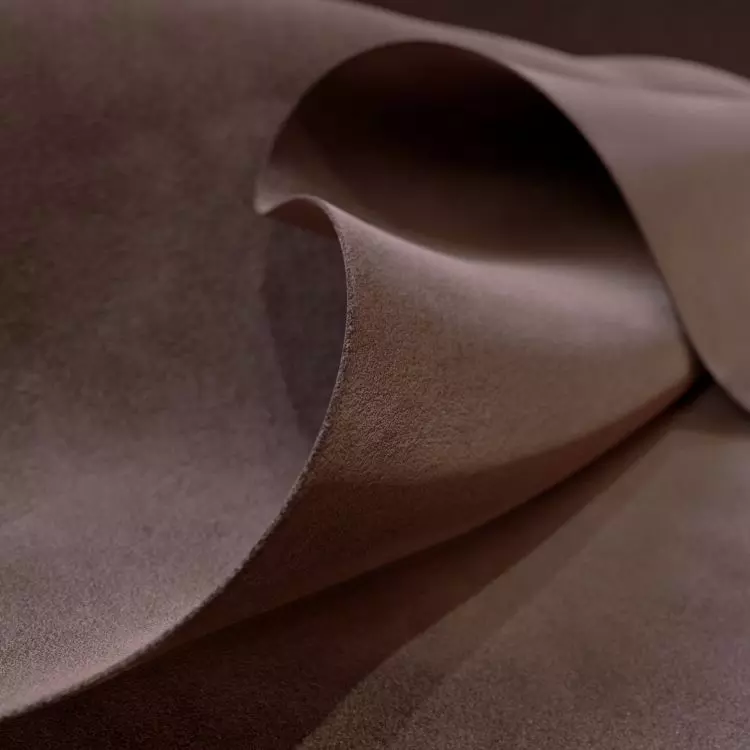 The color of the year 2025 is a warm shade of brown