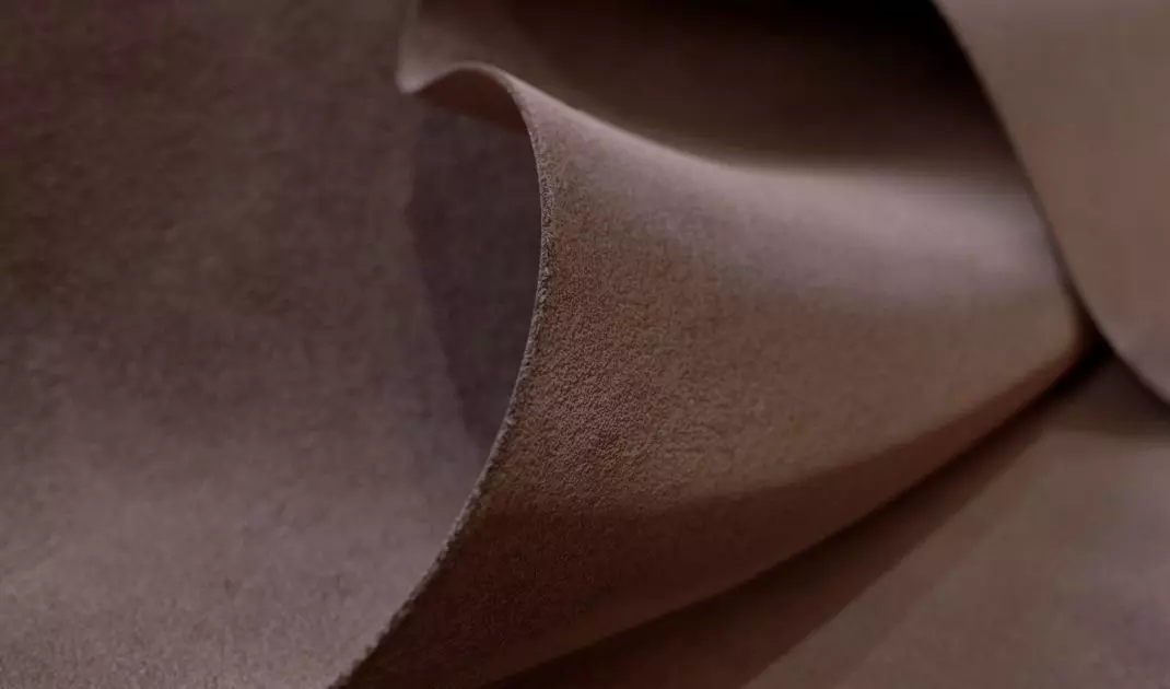 The color of the year 2025 is a warm shade of brown