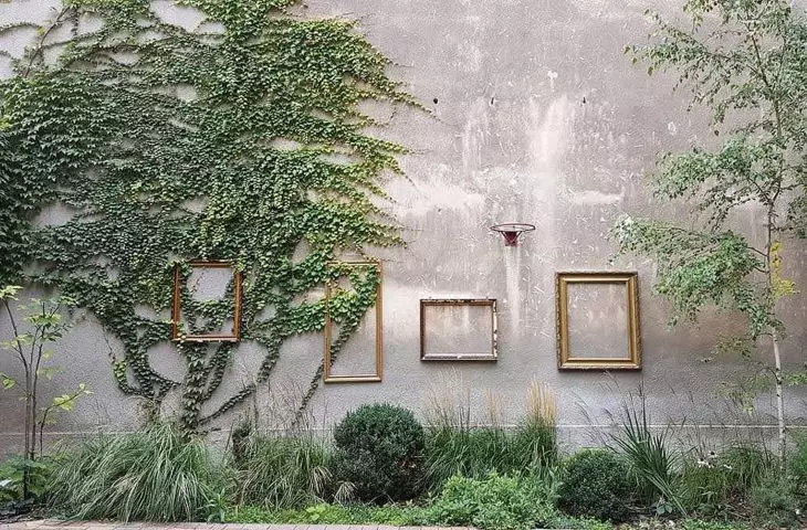 Vines overgrowing the walls create works of art