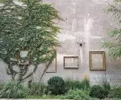 Vines overgrowing the walls create works of art