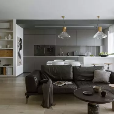 The apartment is dominated by a subdued color scheme