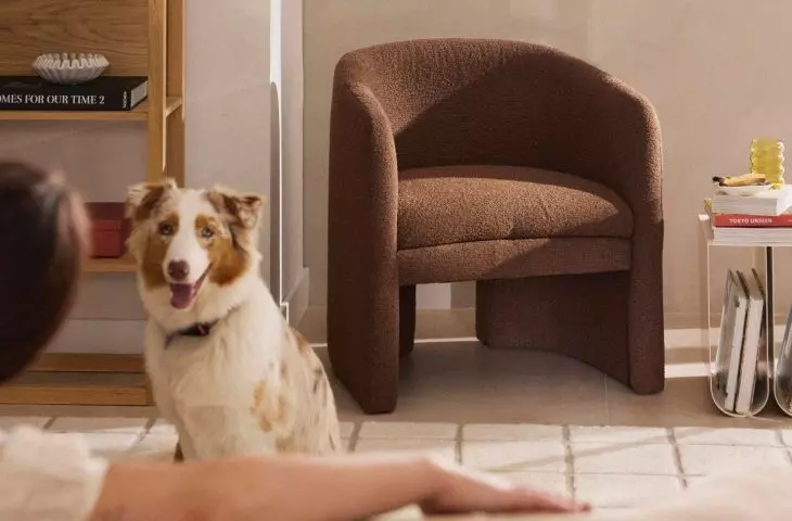 Brown furniture with bouclé wool upholstery will add variety to the arrangement