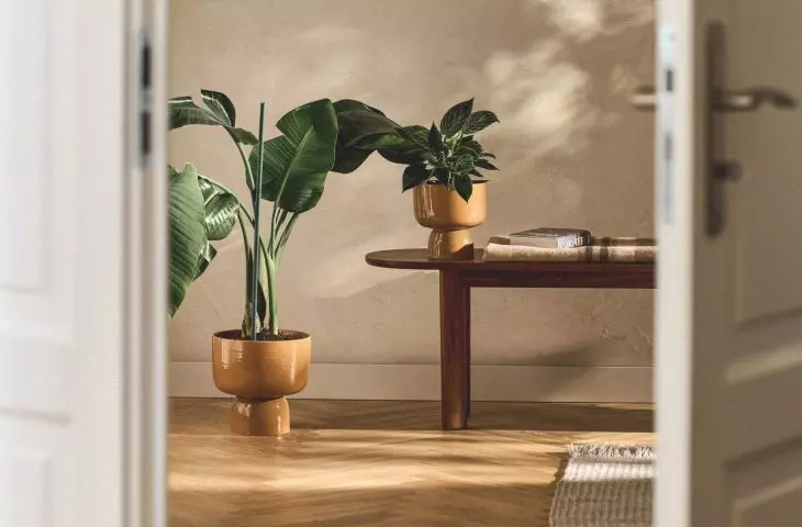 Ceramics in the color of 2025 will be a great addition to the arrangement