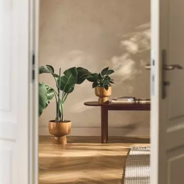 Ceramics in the color of 2025 will be a great addition to the arrangement