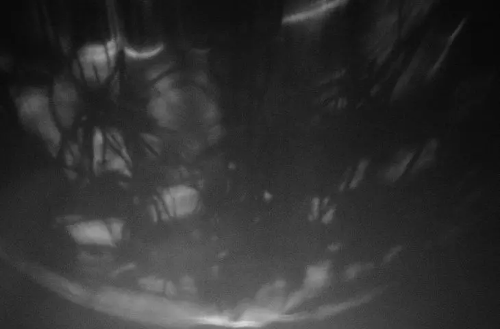 Moony projector